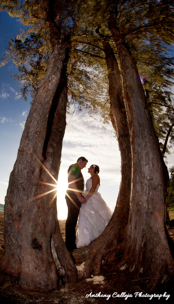 Hawaii Wedding Photography - Portrait of Bride and Groom holding hands, Sun flare, Ironwood trees, Waimanalo Beach