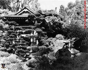Japanese Tea Garden In San Francisco California 1981
