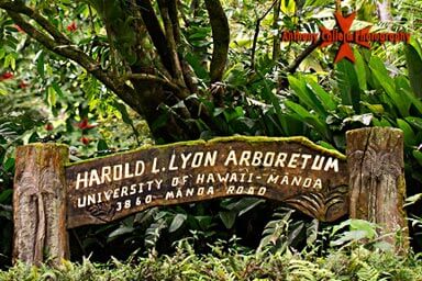 Entrance to Harold L Lyon Arboretum 3860 Manoa Road Honolulu