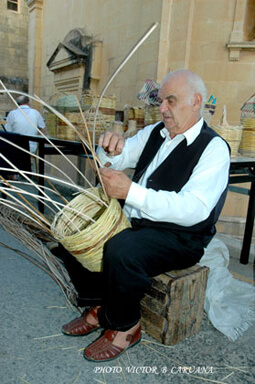 Maltese Cane Worker