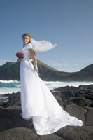 Oahu Pre Wedding Portraits
