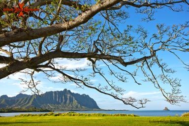 Oahu Seascape Photography