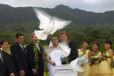 Hawaii Country Club Wedding Photography - Bride and Groom release white Doves