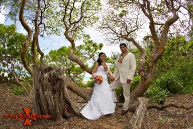 Honolulu Wedding Photographers portrait - Fish-eye lens shot of bride and groom holding hand in a tree at Waimanano beach