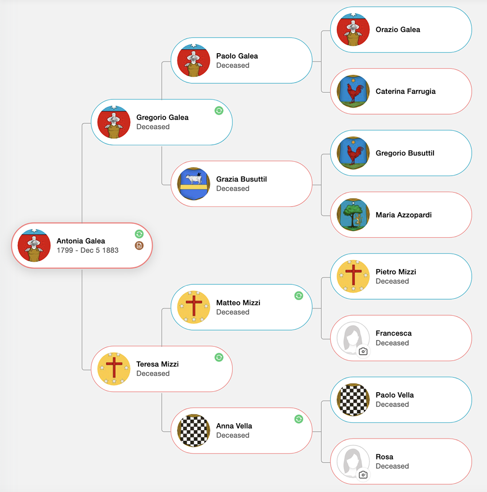 My Maternal Great Great Great Grandmother, Antonia Galia Mercieca's Family Tree