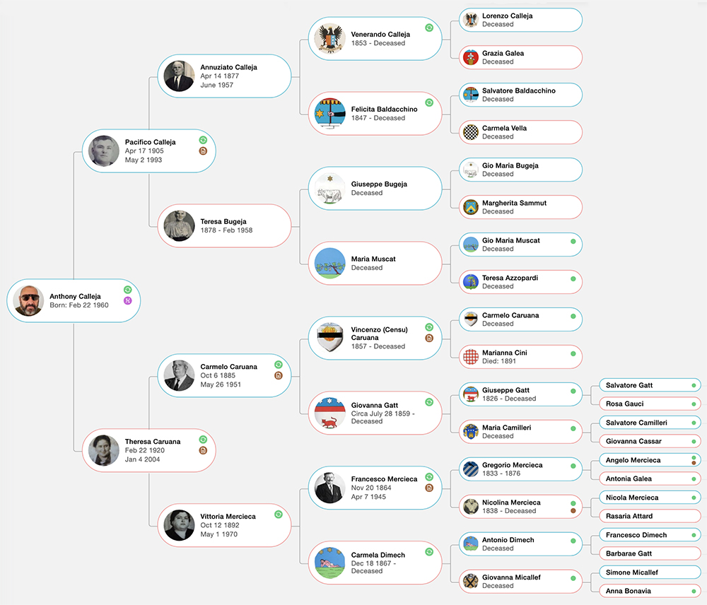 Calleja & Caruana Family Tree