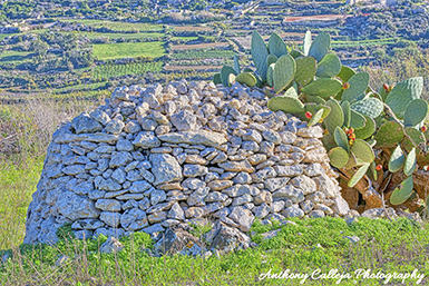 A girna is a traditional Maltese stone hut, specifically a corbelled hut, often used by farmers in rural areas for storage, shelter, or as temporary dwellings. These structures are built from coralline limestone, typically with double walls and a dome-shaped interior ceiling, using a dry-stone construction technique without mortar. 
