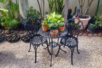 garden plants