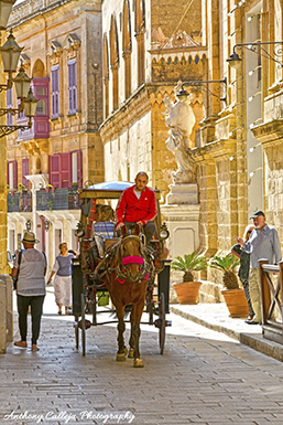 The traditional karrozzin is one of the oldest forms of public transport in Malta, dating back to the mid-nineteenth century. It consists of a carriage pulled by a horse and is nowadays a popular tourist attraction.