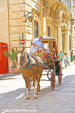 The traditional karrozzin is one of the oldest forms of public transport in Malta, dating back to the mid-nineteenth century. It consists of a carriage pulled by a horse and is nowadays a popular tourist attraction.