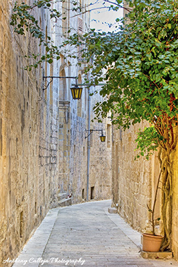 Mdina's streets are known for their narrow, cobbled paths and historic charm. These streets, often described as "silent," feature grand stone buildings and flower-lined alleyways, offering a unique glimpse into the past. Some of the notable streets include Triq Inguanez, Triq San Pawl, and Triq Villegaignon. 