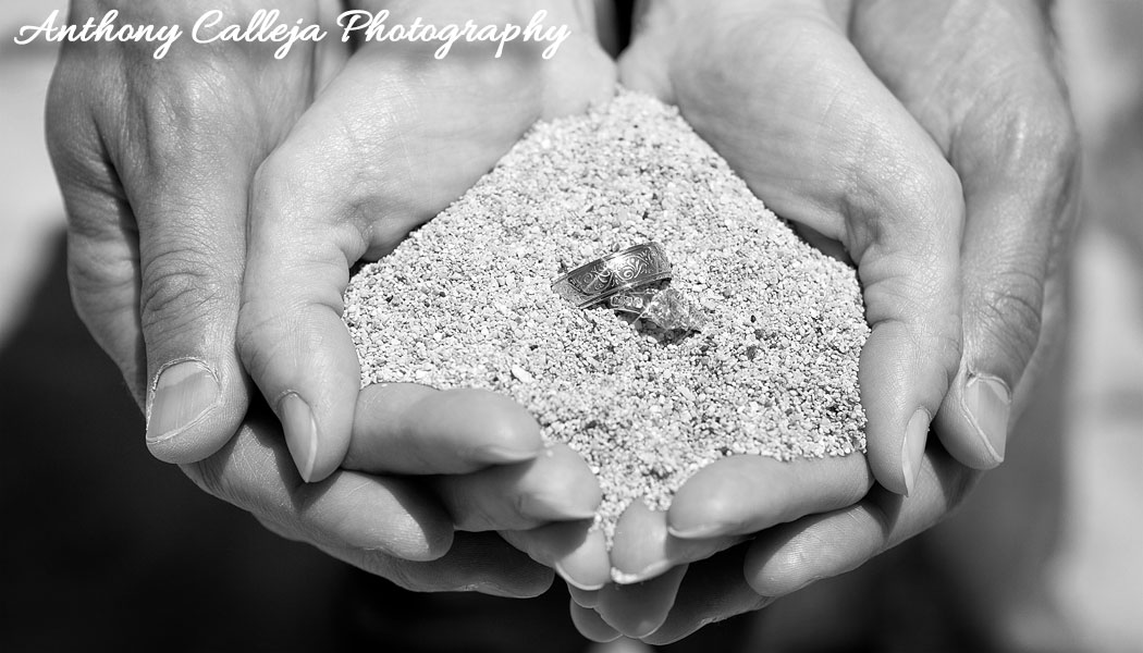 After many incredible years of capturing cherished memories through my photography, I’m officially stepping into retirement and beginning a new chapter in life. As part of this transition, I’m offering two of my premium domain names for sale